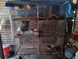 লোহার মজবুত বানানো খাচা