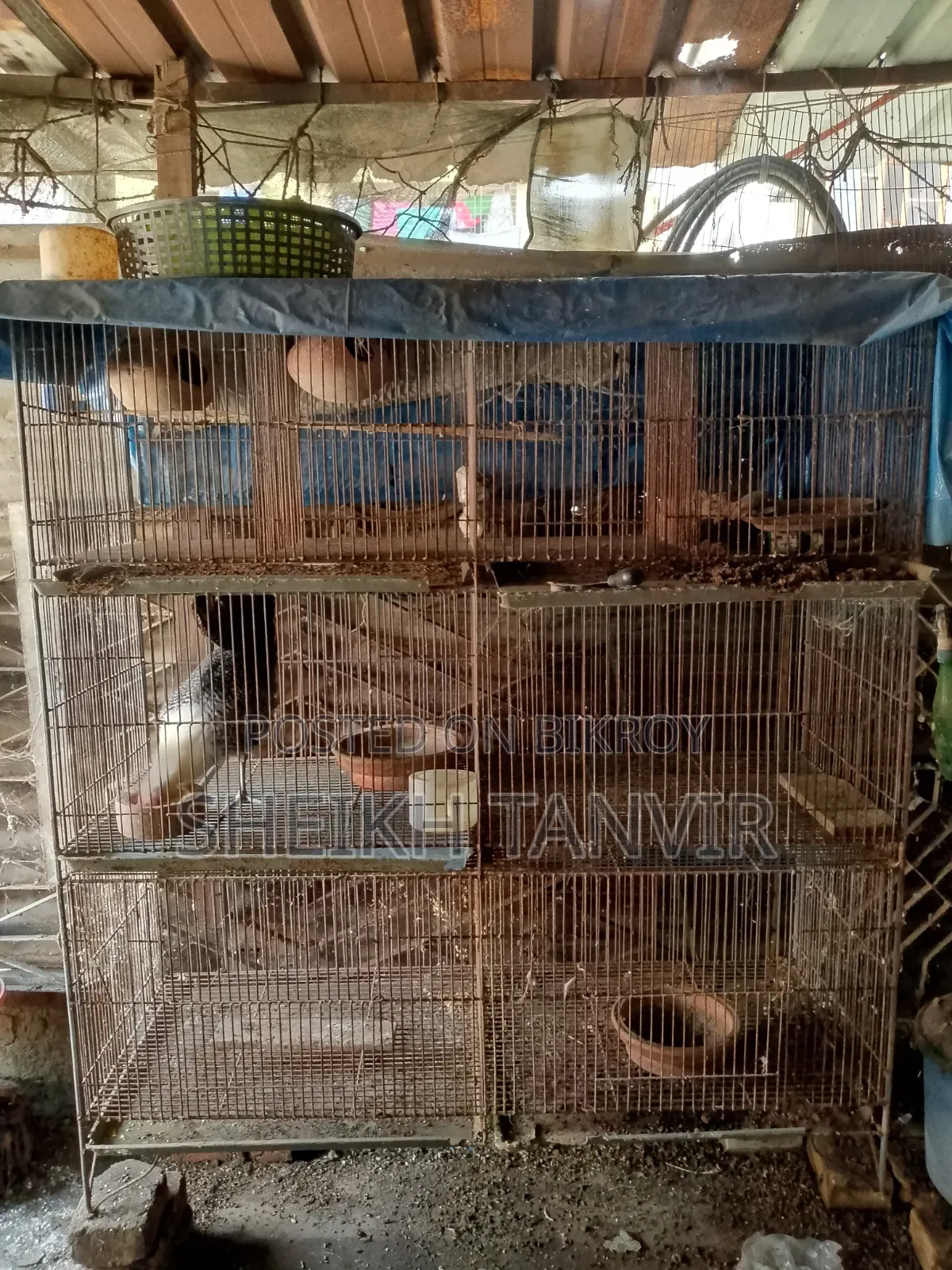 লোহার মজবুত বানানো খাচা