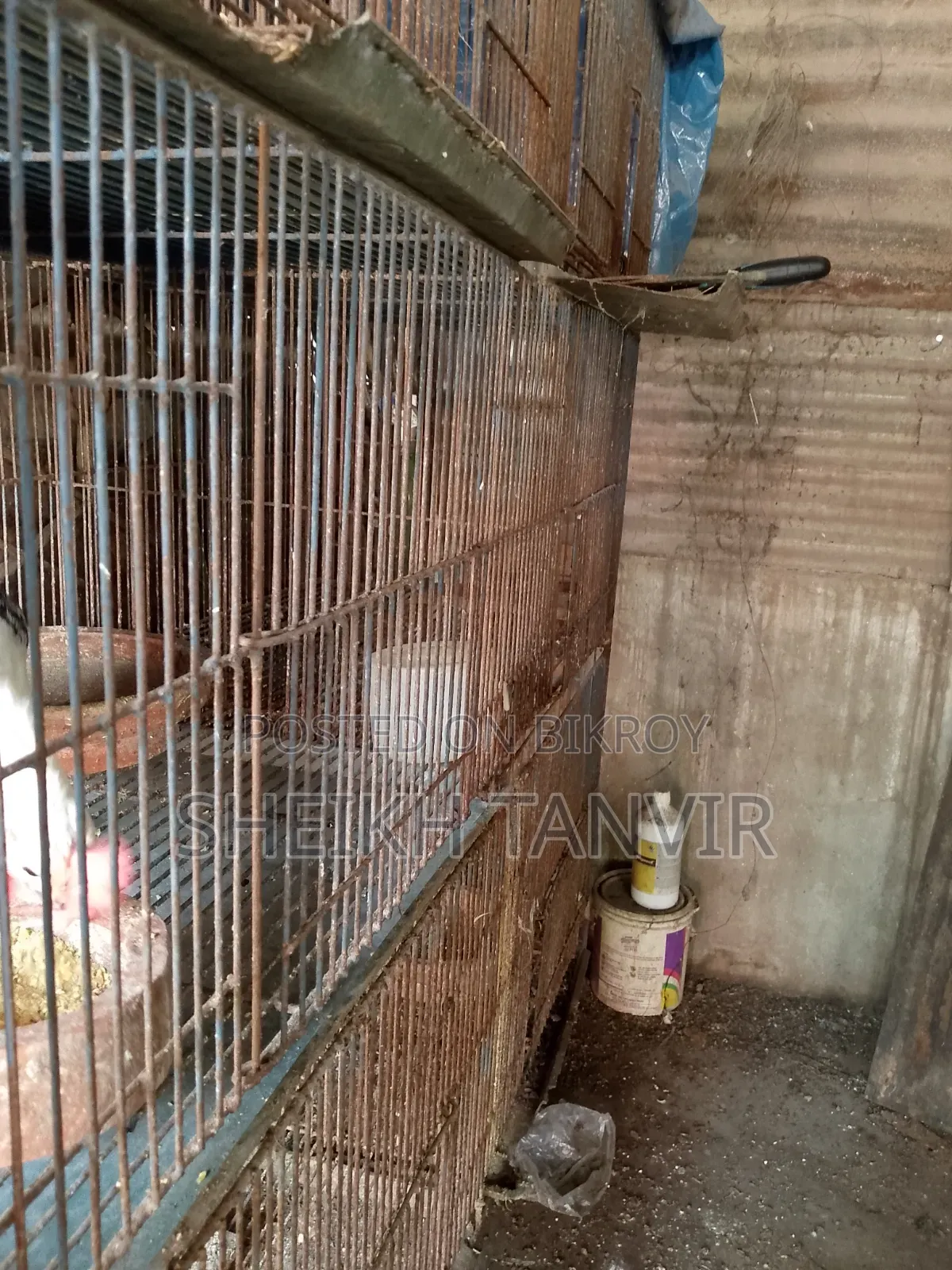 লোহার মজবুত বানানো খাচা