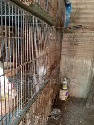 লোহার মজবুত বানানো খাচা