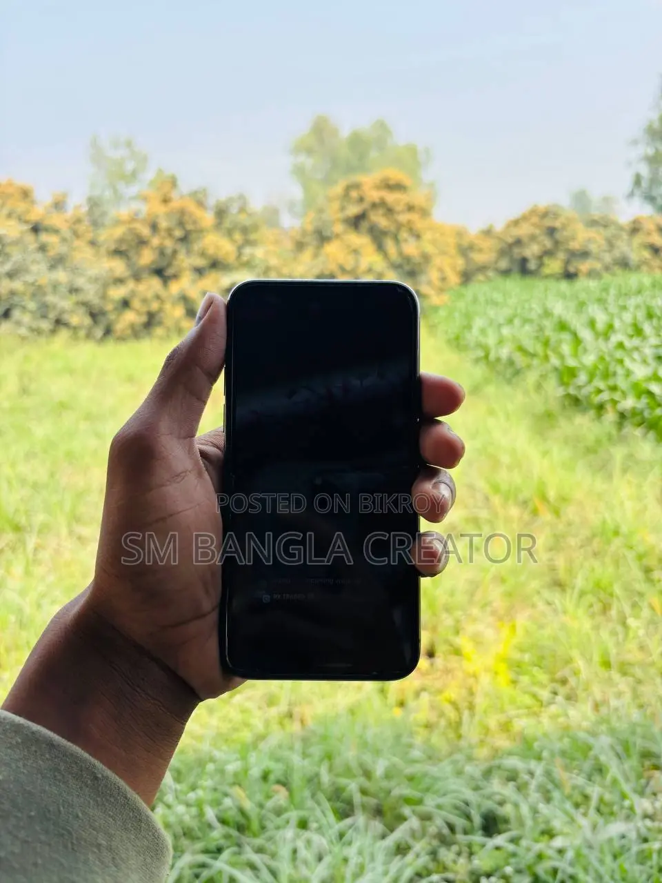Apple iPhone 11 Pro 256 GB Gray