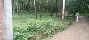 বাড়ি করার জন্য সুন্দর একটা জায়গা বিক্রি করা হবে।