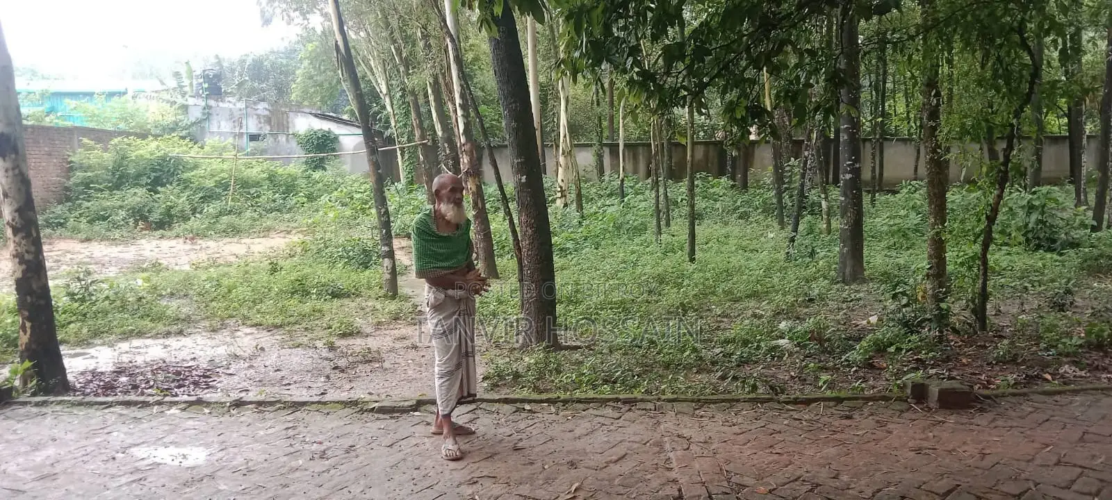 বাড়ি করার জন্য সুন্দর একটা জায়গা বিক্রি করা হবে।