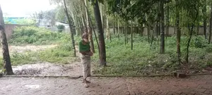 বাড়ি করার জন্য সুন্দর একটা জায়গা বিক্রি করা হবে।