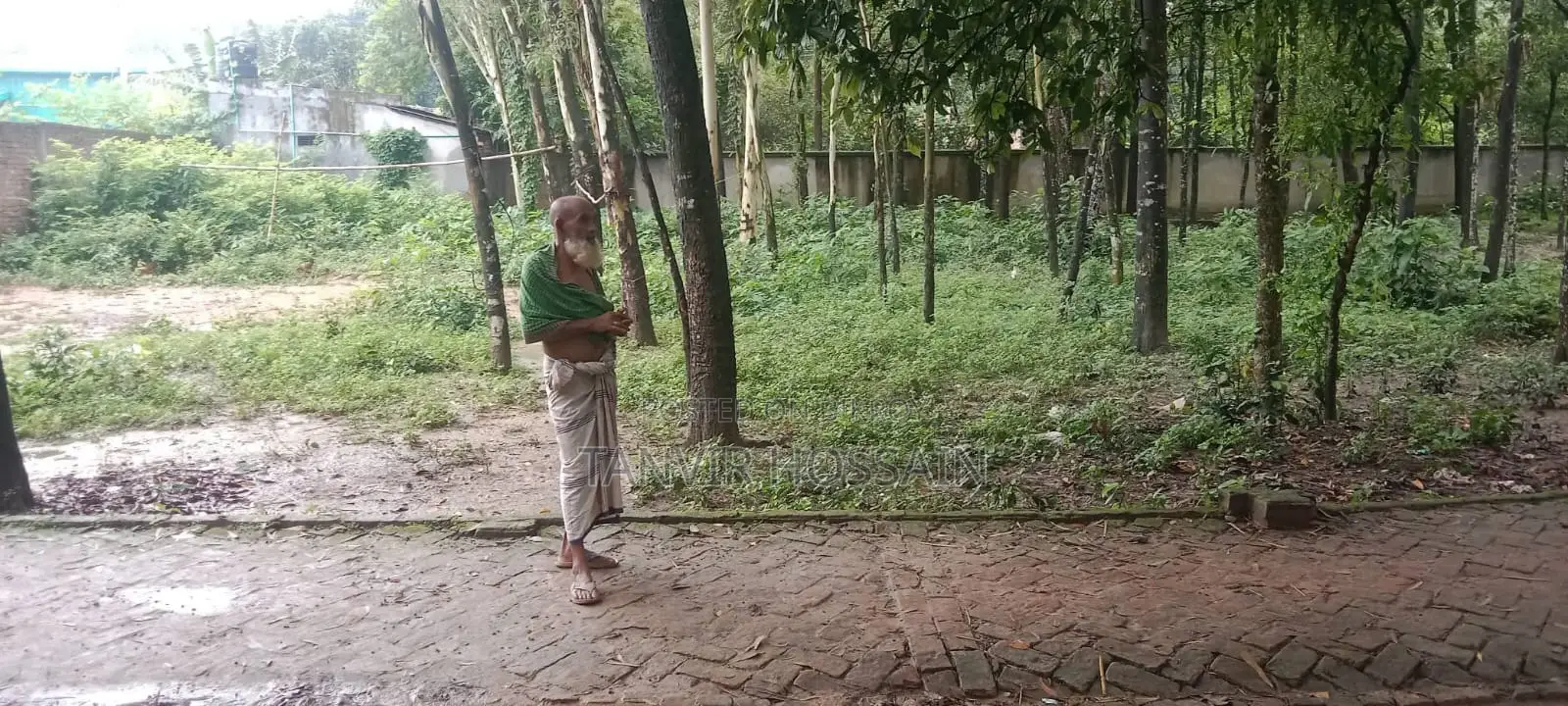 বাড়ি করার জন্য সুন্দর একটা জায়গা বিক্রি করা হবে।