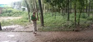 বাড়ি করার জন্য সুন্দর একটা জায়গা বিক্রি করা হবে।