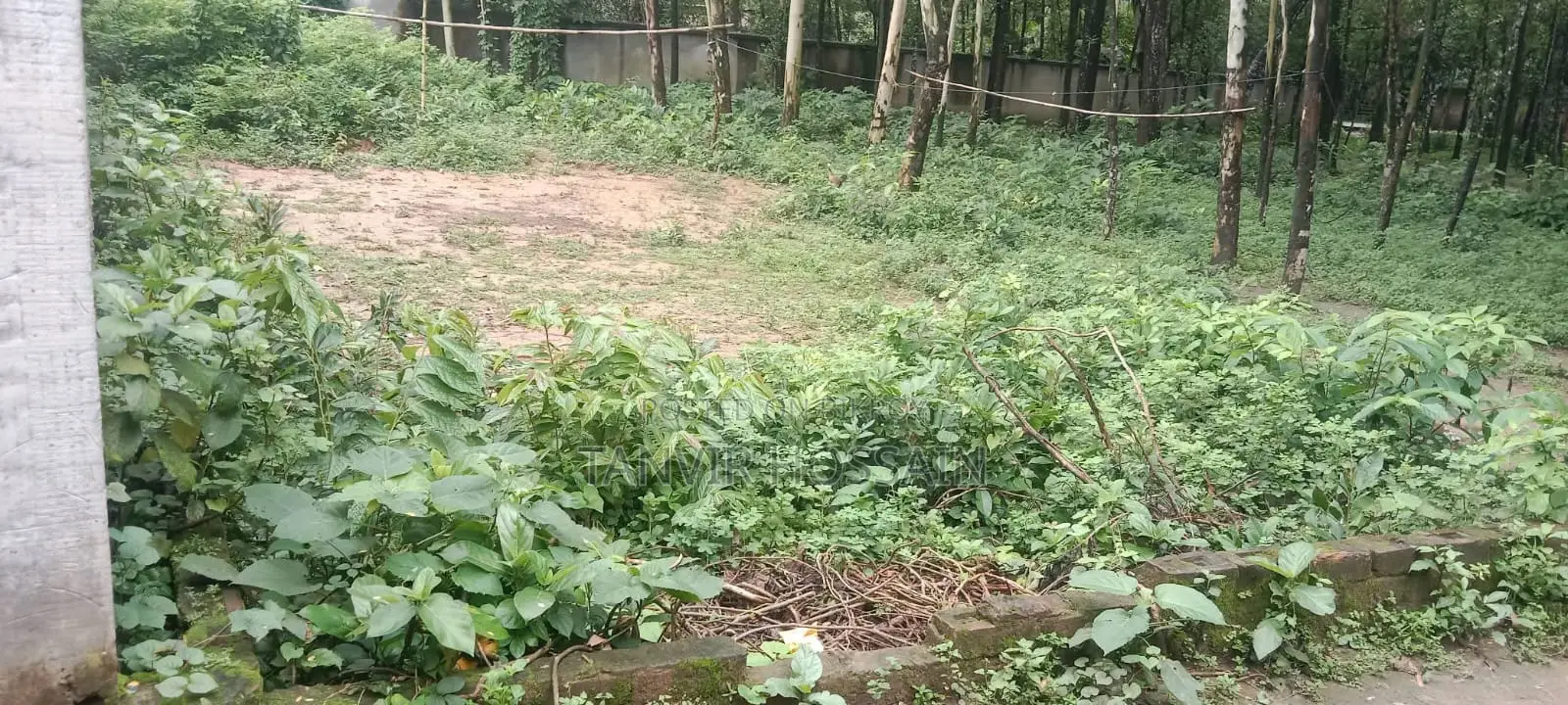 বাড়ি করার জন্য সুন্দর একটা জায়গা বিক্রি করা হবে।