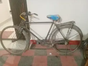 Bi-Cycle -