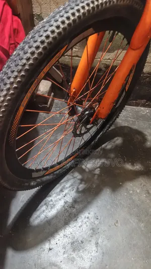 বাইসাইকেল সাইকেল