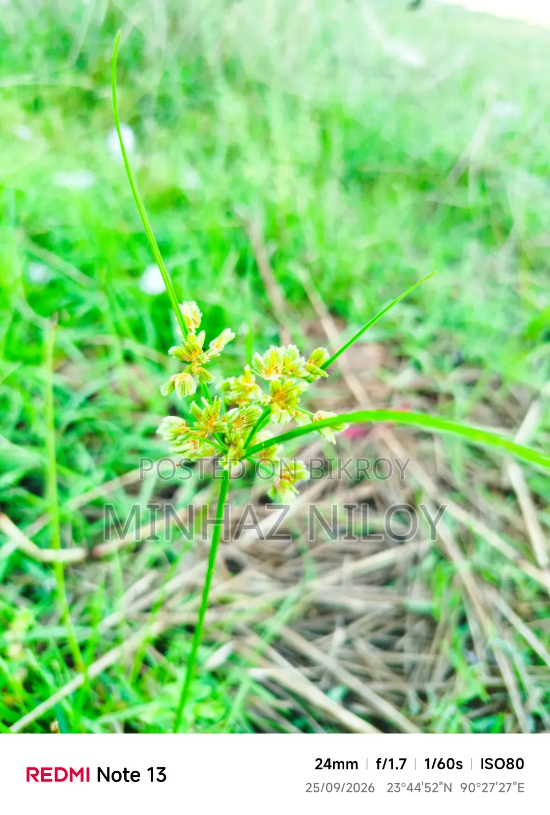 শাওমি রেডমি নোট ১৩ ১২৮ জিবি ব্লু