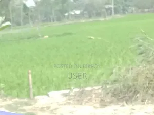 ৩৩ শতক ফসলের জমি বিক্রি করা হবে