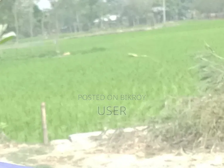 ৩৩ শতক ফসলের জমি বিক্রি করা হবে