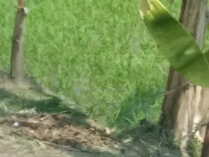 ৩৩ শতক ফসলের জমি বিক্রি করা হবে