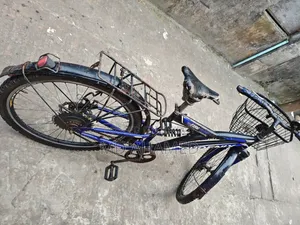 বাইসাইকেল ফিনিক্স