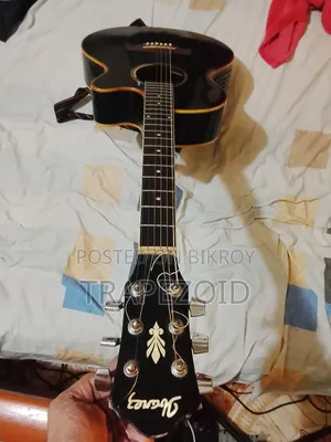 Ibanez N24 Series Guitar