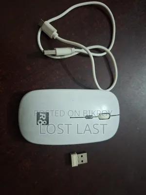 Mouse R8 1715