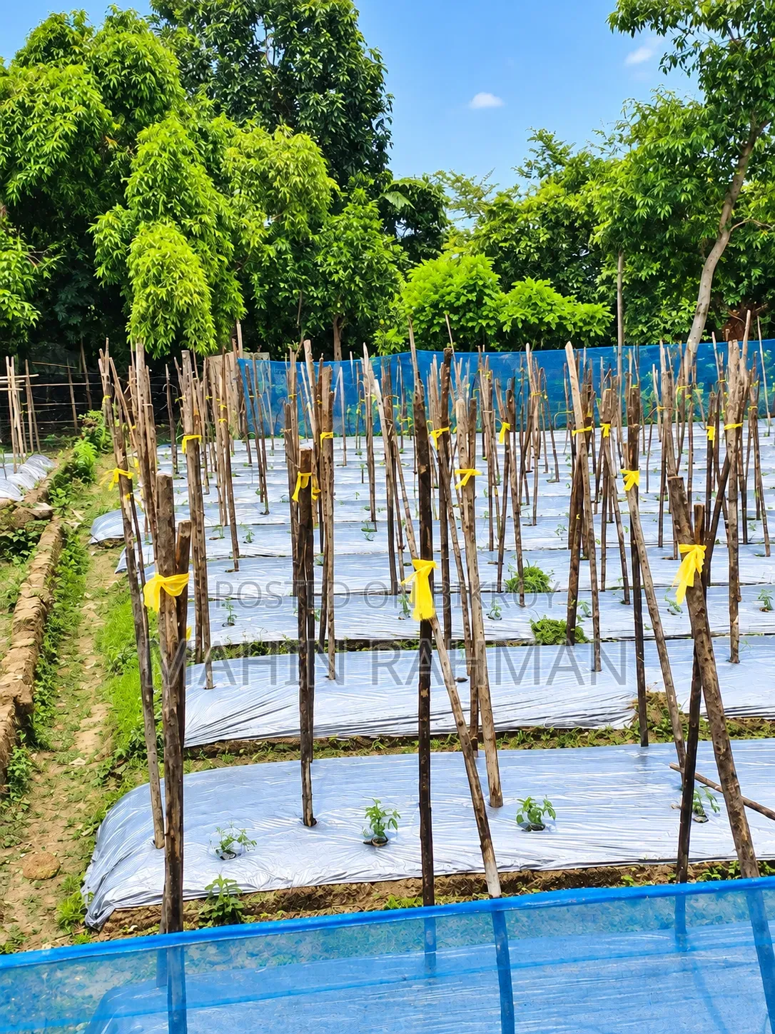 8 decimal land for sale at Sultanpur Chinair Road