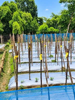 ৮ শতাংশ জায়গা বিক্রি হবে সুলতানপুর চিনাইর রোড