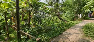 ৩ কাঠা জমি বিক্রয় — অবস্থান টঙ্গী ১০ ফিট রাস্তার পাশে!