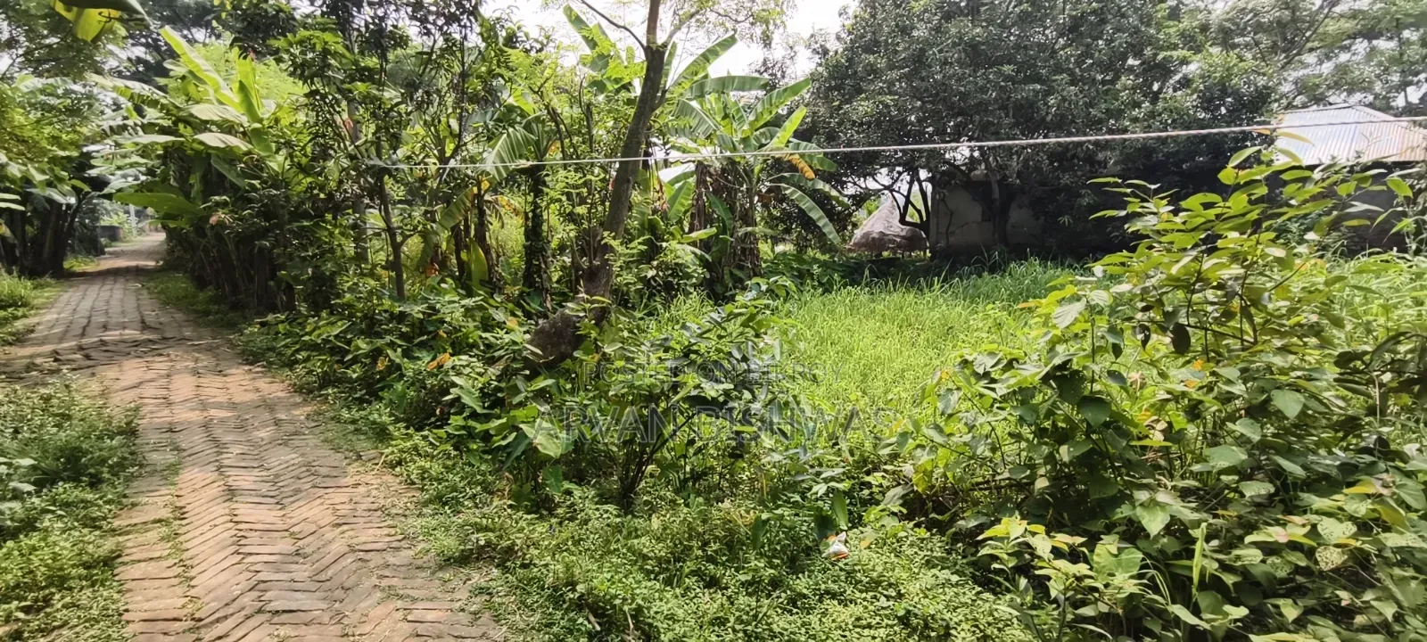 ৩ কাঠা জমি বিক্রয় — অবস্থান টঙ্গী ১০ ফিট রাস্তার পাশে!