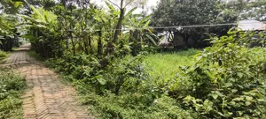 ৩ কাঠা জমি বিক্রয় — অবস্থান টঙ্গী ১০ ফিট রাস্তার পাশে!