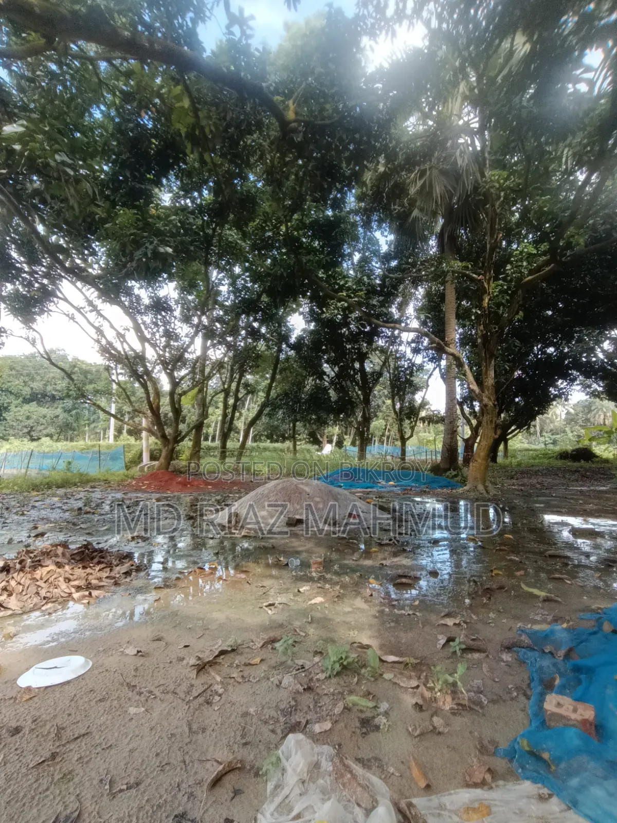 এমার্জেন্সি জমি বিক্রয় টাকার দরকার