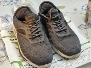 PandaPlus Casual Sneakers (Used)