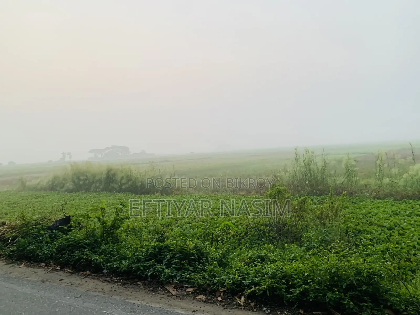 মানিকগঞ্জ শিবালয় মোনাইল গ্রাম