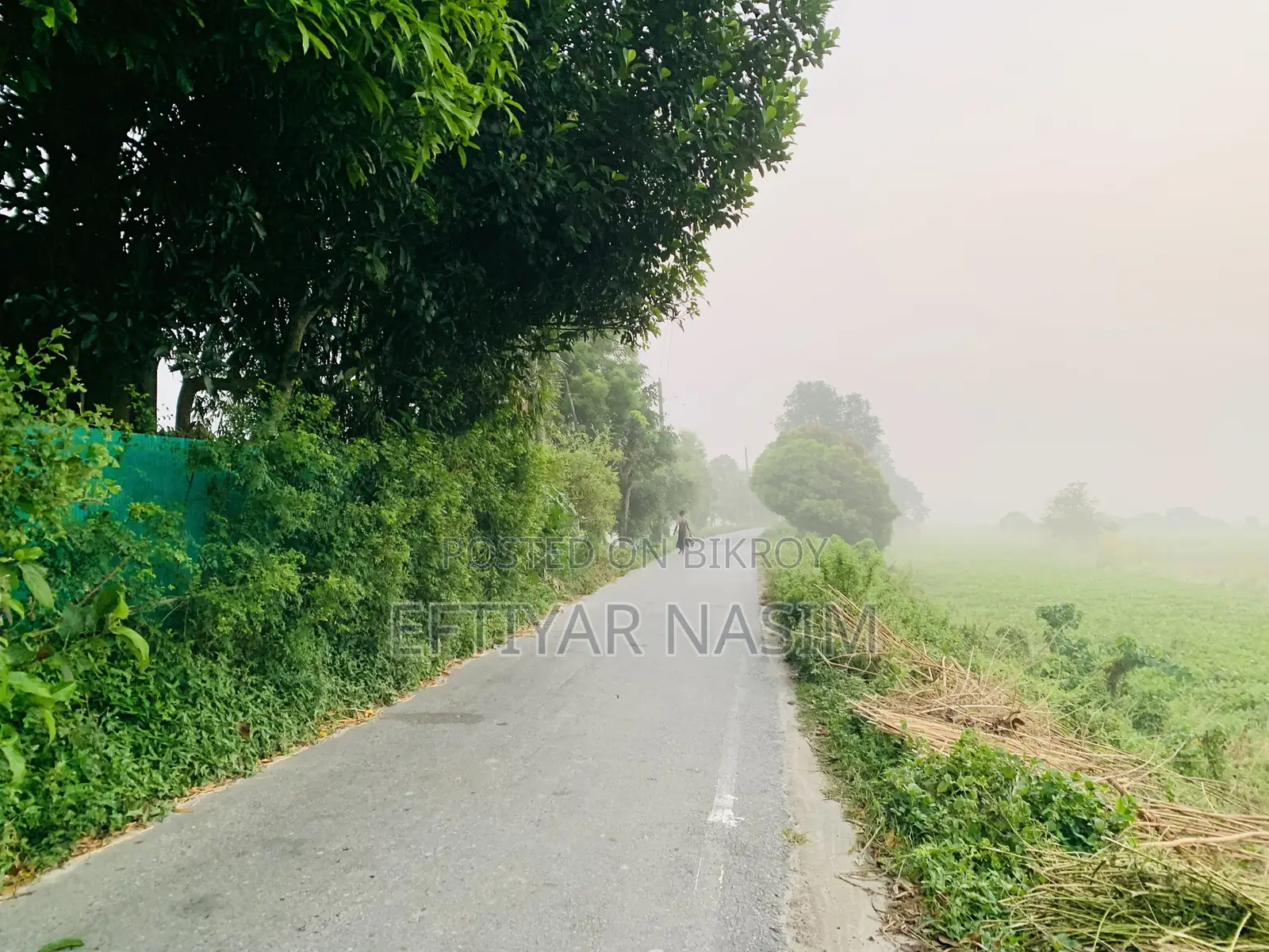 মানিকগঞ্জ শিবালয় মোনাইল গ্রাম