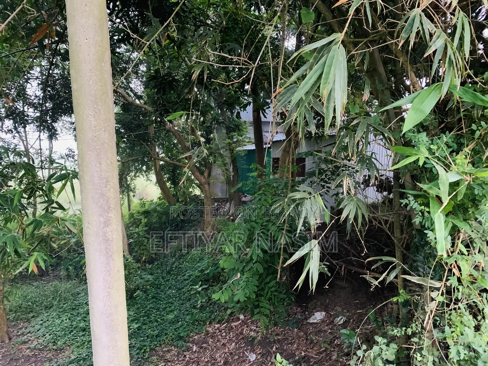 মানিকগঞ্জ শিবালয় মোনাইল গ্রাম