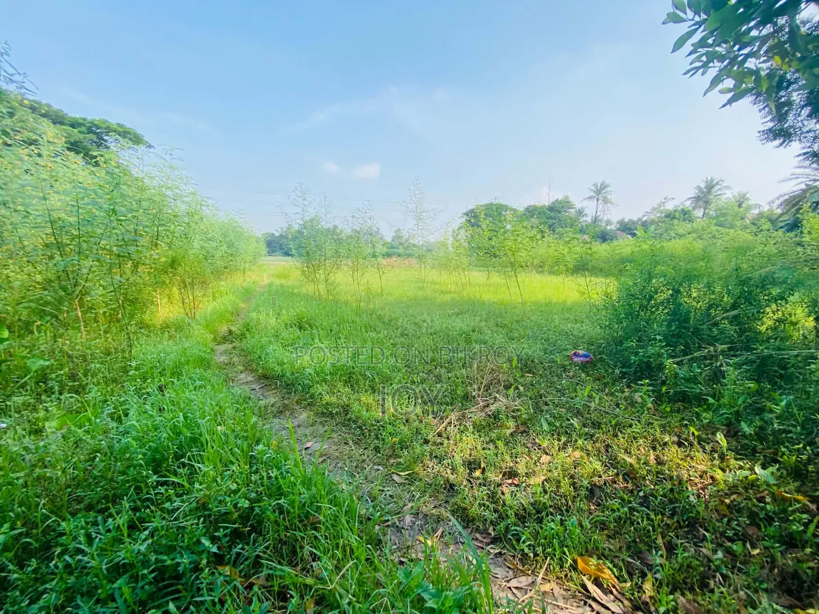 Land purchase in Dhaka