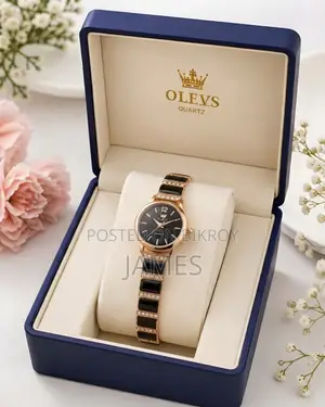 OLEVS প্রিমিয়াম লেডিস কোয়ার্টজ ওয়াচ