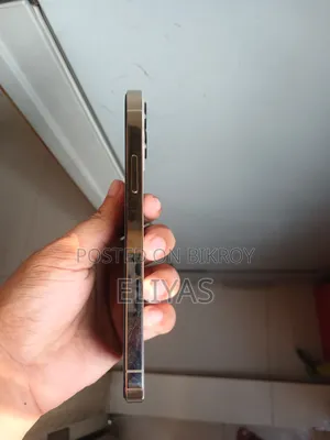 অ্যাপল আইফোন ১২ প্রো ২৫৬ জিবি