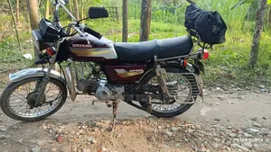 দিয়াং অ্যাপোলো ২০০৬ পার্পল