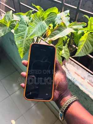 Apple iPhone 17 Pro Max 256 GB Orange