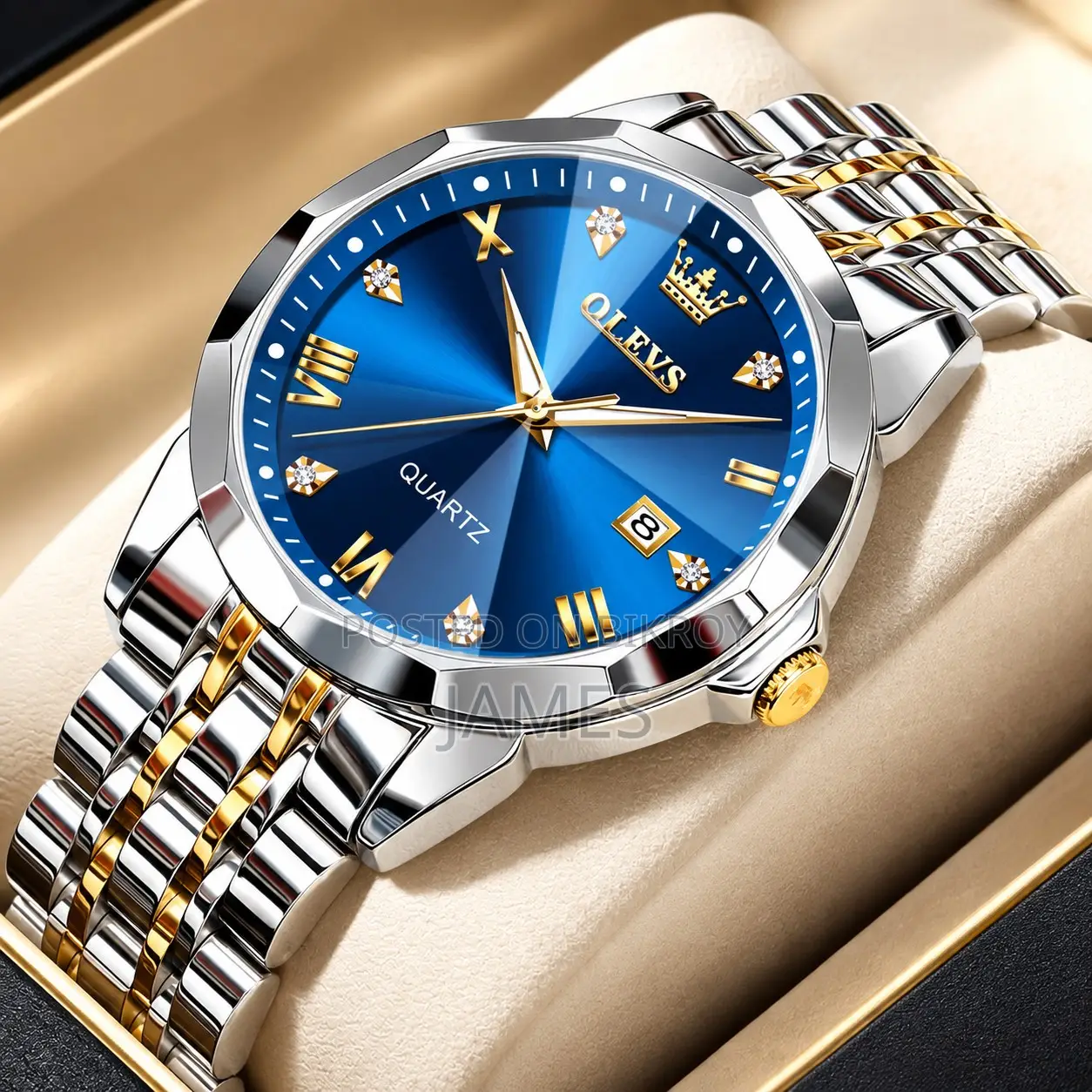 OLEVS Premium Men's Quartz Watch