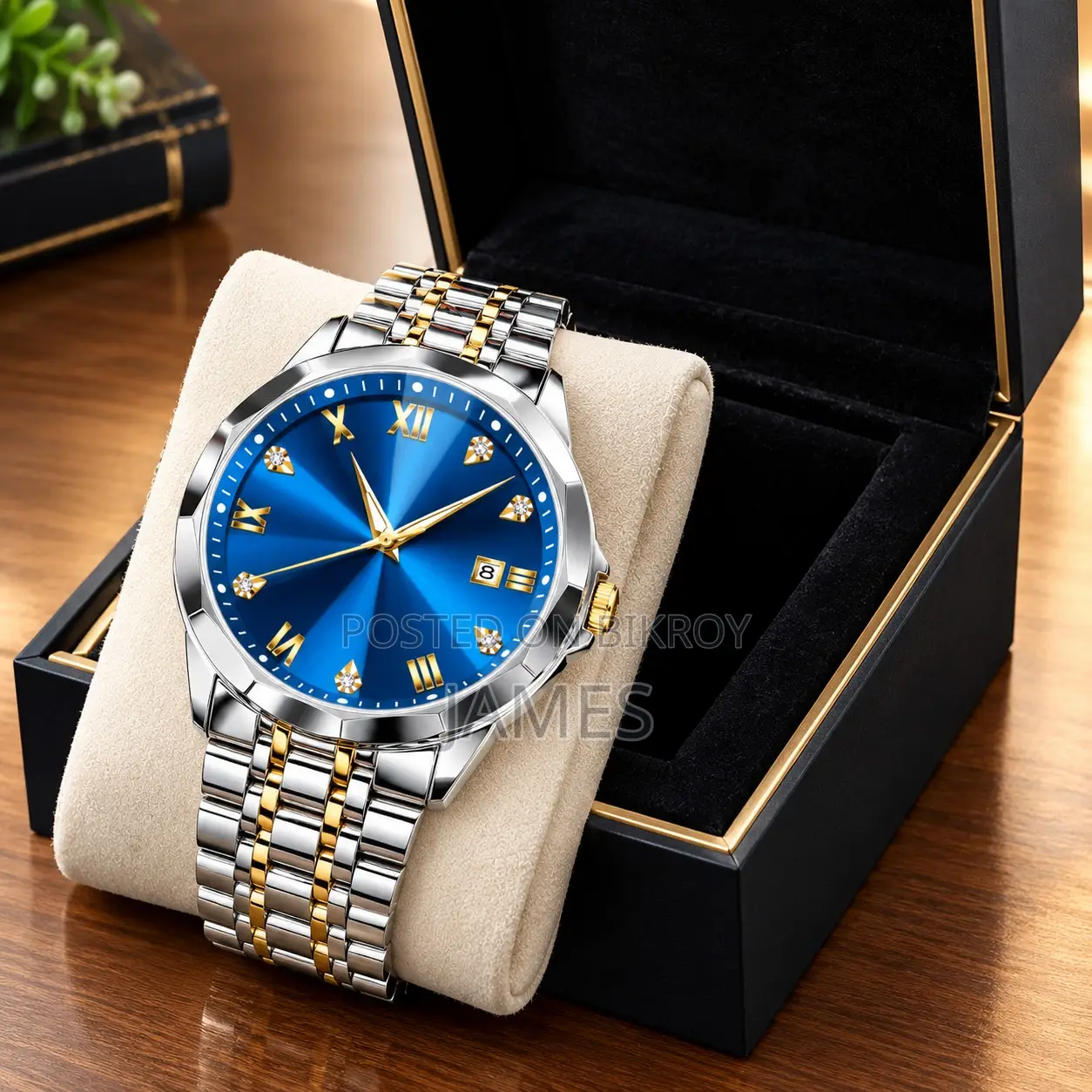 OLEVS Premium Men's Quartz Watch