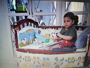 Baby Cot With Bassinet