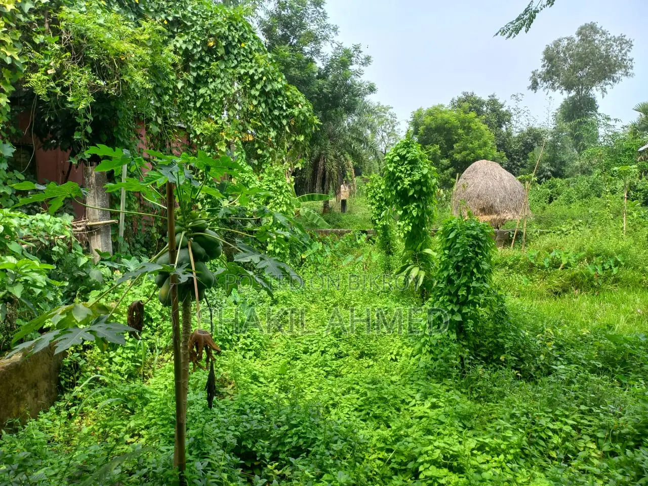 সালনা, গাজীপুরে জমি বিক্রি