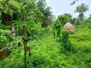 সালনা, গাজীপুরে জমি বিক্রি