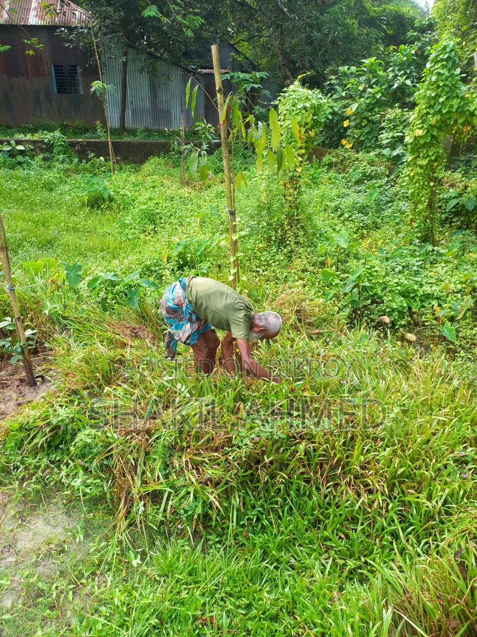সালনা, গাজীপুরে জমি বিক্রি