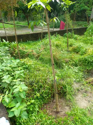সালনা, গাজীপুরে জমি বিক্রি