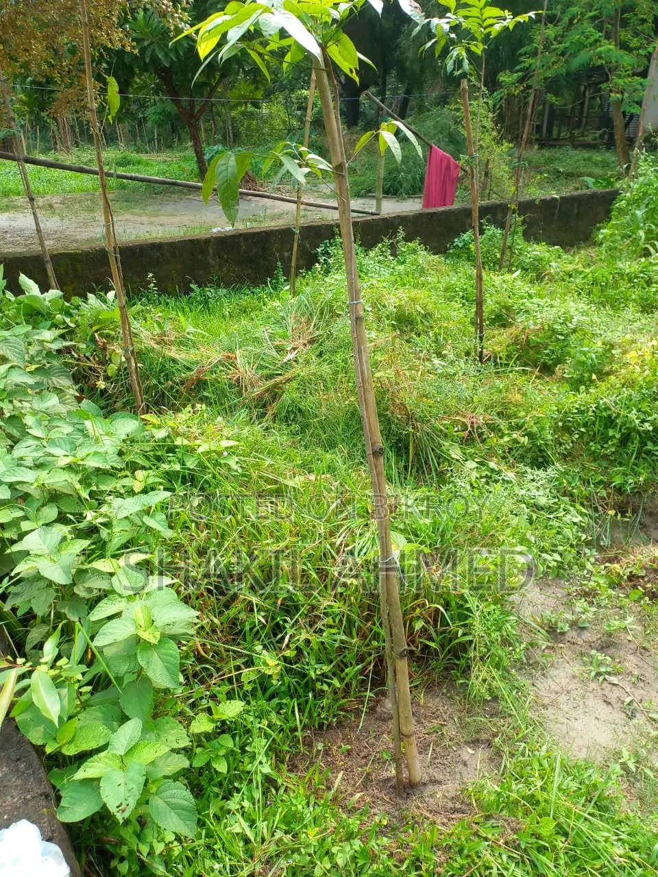 সালনা, গাজীপুরে জমি বিক্রি