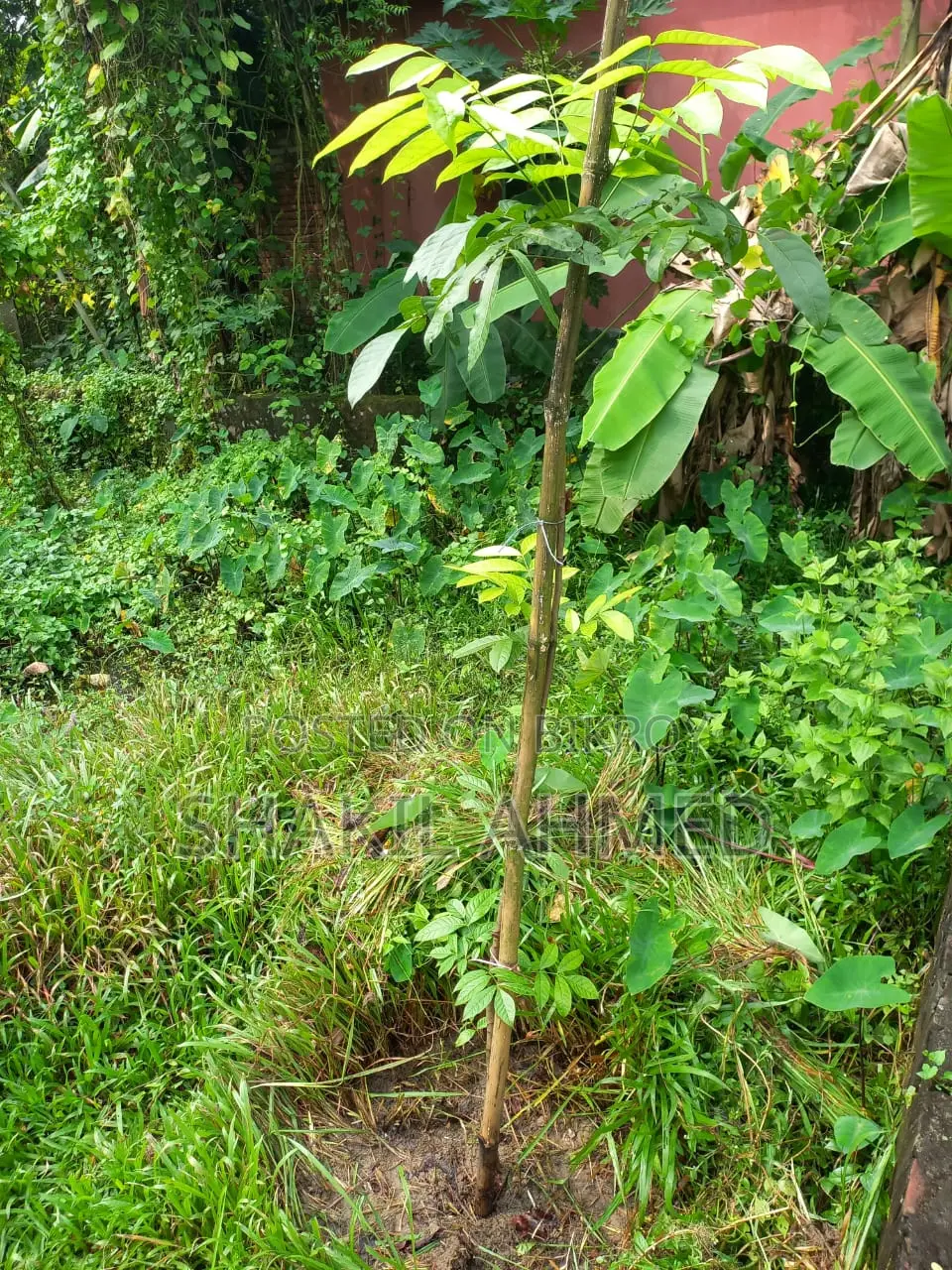 সালনা, গাজীপুরে জমি বিক্রি