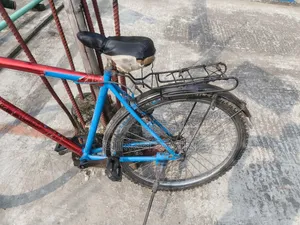সাইকেল নিজ