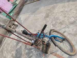 সাইকেল নিজ