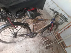 Old Bicycle
