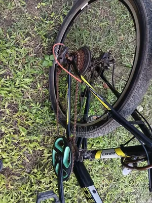 This bicycle will be sold