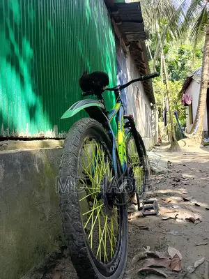 Hydraulic Bicycle