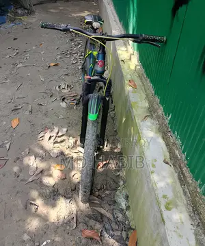 Hydraulic Bicycle